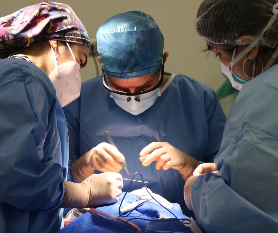 Elevate Oral Surgery - Northern Virginia oral maxillofacial, or implant surgery